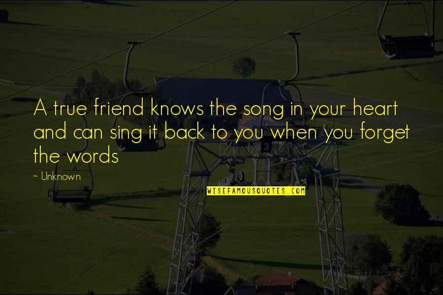 Adragna Architecture Quotes By Unknown: A true friend knows the song in your Adragna Architecture Quotes By Unknown: A true friend knows the song in your