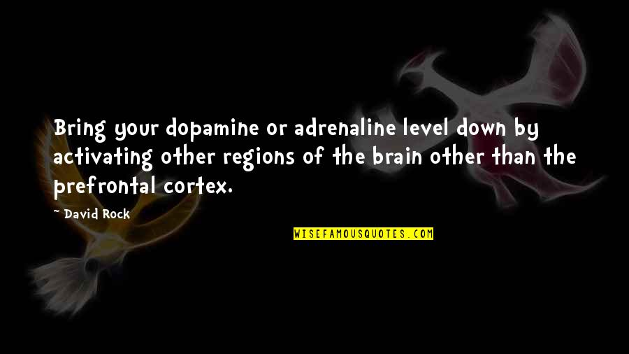 Adrenaline Quotes By David Rock: Bring your dopamine or adrenaline level down by