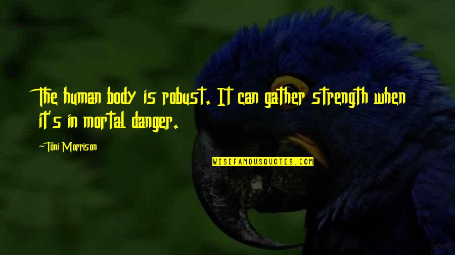 Adrenaline's Quotes By Toni Morrison: The human body is robust. It can gather