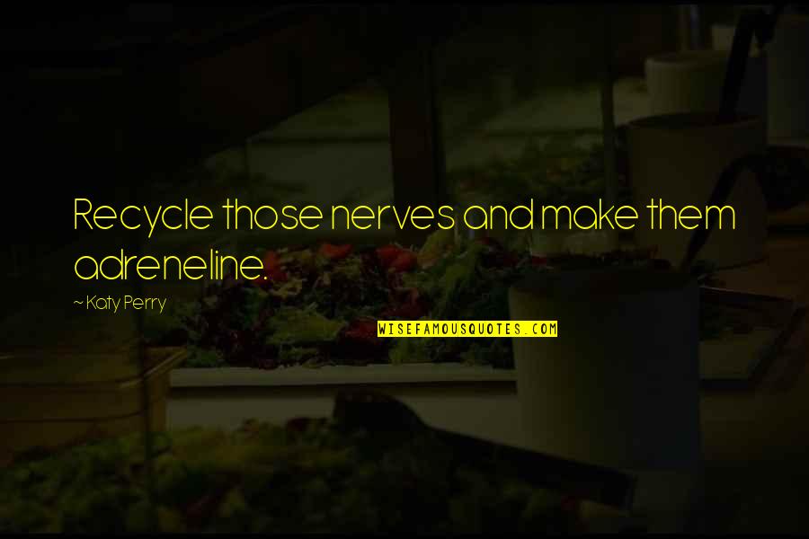 Adreneline Quotes By Katy Perry: Recycle those nerves and make them adreneline.
