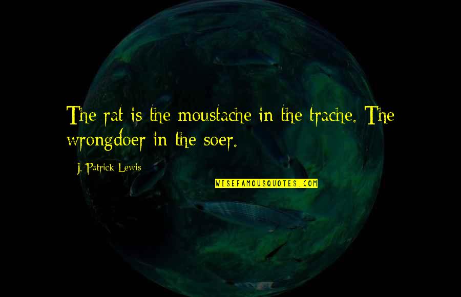 Adriaensen Spellen Quotes By J. Patrick Lewis: The rat is the moustache in the trache. Adriaensen Spellen Quotes By J. Patrick Lewis: The rat is the moustache in the trache.