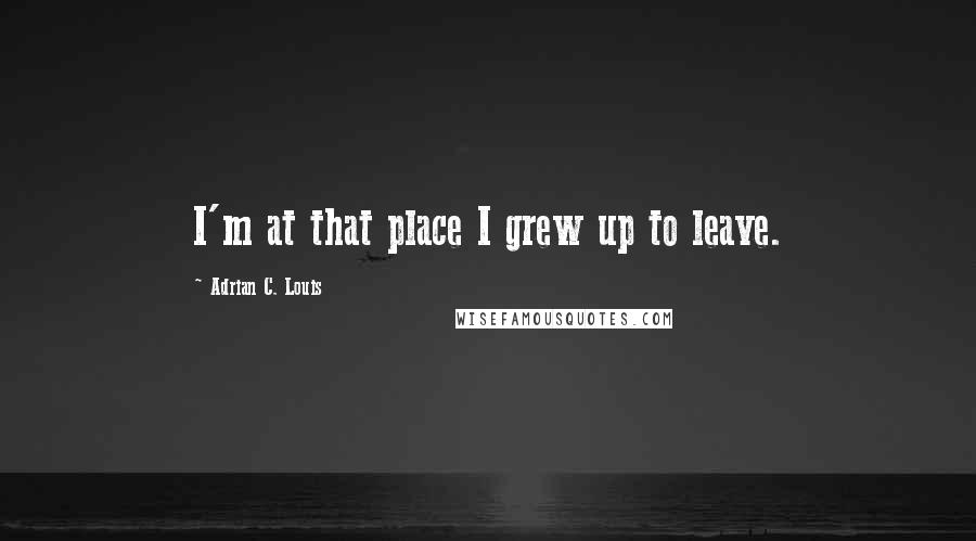 Adrian C. Louis quotes: I'm at that place I grew up to leave.