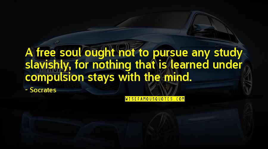 Adrian Edmondson Quotes By Socrates: A free soul ought not to pursue any
