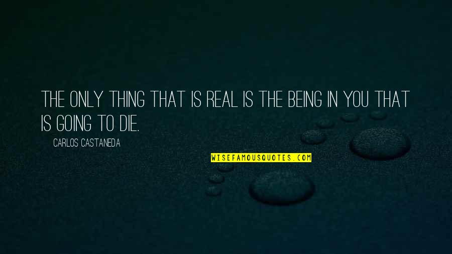 Adrian Forty Quotes By Carlos Castaneda: The only thing that is real is the