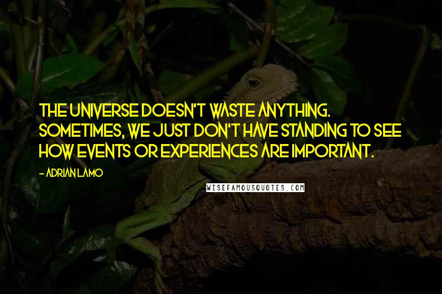 Adrian Lamo quotes: The universe doesn't waste anything. Sometimes, we just don't have standing to see how events or experiences are important.