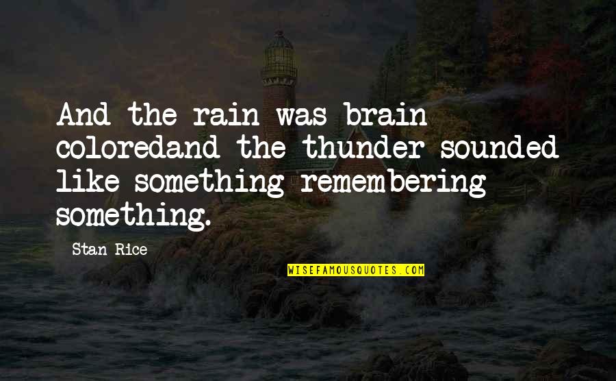 Adrian Van Oyen Quotes By Stan Rice: And the rain was brain coloredand the thunder