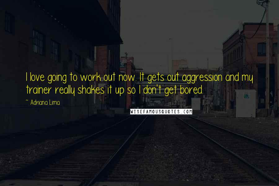 Adriana Lima quotes: I love going to work out now. It gets out aggression and my trainer really shakes it up so I don't get bored.