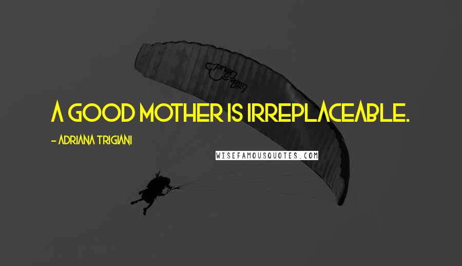 Adriana Trigiani quotes: A good mother is irreplaceable.