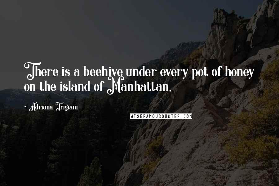 Adriana Trigiani quotes: There is a beehive under every pot of honey on the island of Manhattan,