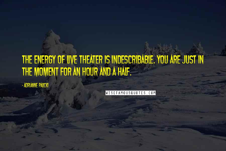 Adrianne Palicki quotes: The energy of live theater is indescribable. You are just in the moment for an hour and a half.