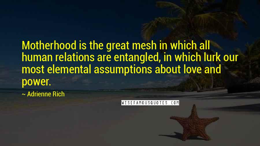 Adrienne Rich quotes: Motherhood is the great mesh in which all human relations are entangled, in which lurk our most elemental assumptions about love and power.