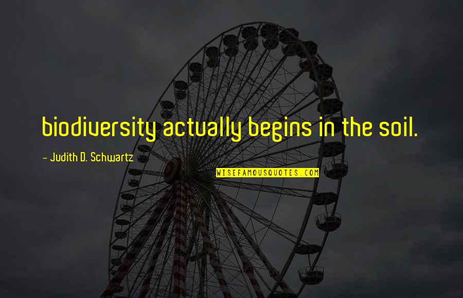 Adryan Rae Quotes By Judith D. Schwartz: biodiversity actually begins in the soil. Adryan Rae Quotes By Judith D. Schwartz: biodiversity actually begins in the soil.