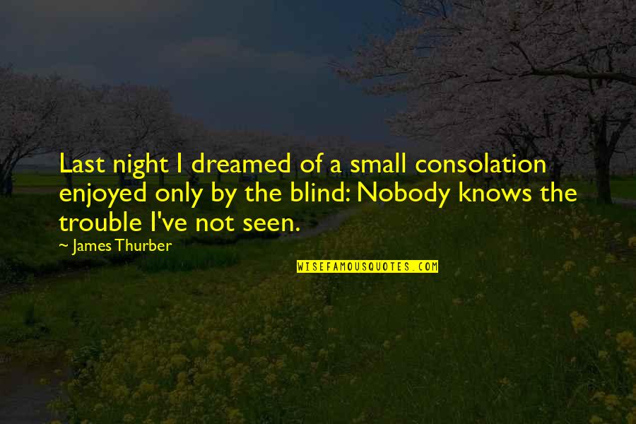 Adullam Quotes By James Thurber: Last night I dreamed of a small consolation