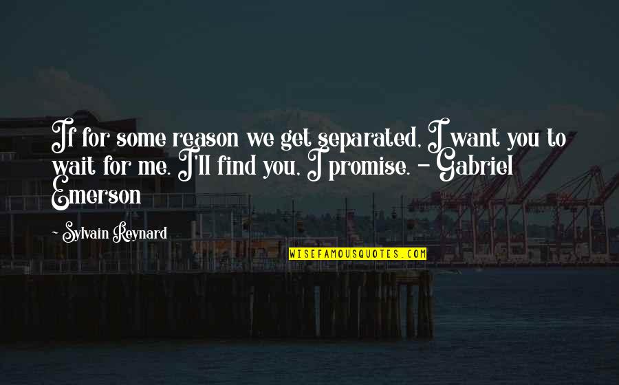 Adult Romance Quotes By Sylvain Reynard: If for some reason we get separated, I