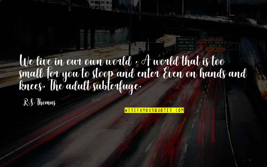 Adult World Quotes By R.S. Thomas: We live in our own world , A