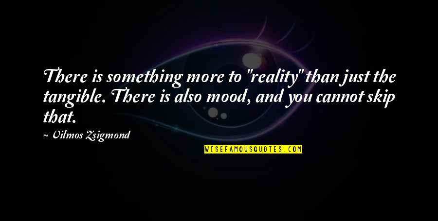 Adulterous Quotes By Vilmos Zsigmond: There is something more to "reality" than just Adulterous Quotes By Vilmos Zsigmond: There is something more to "reality" than just