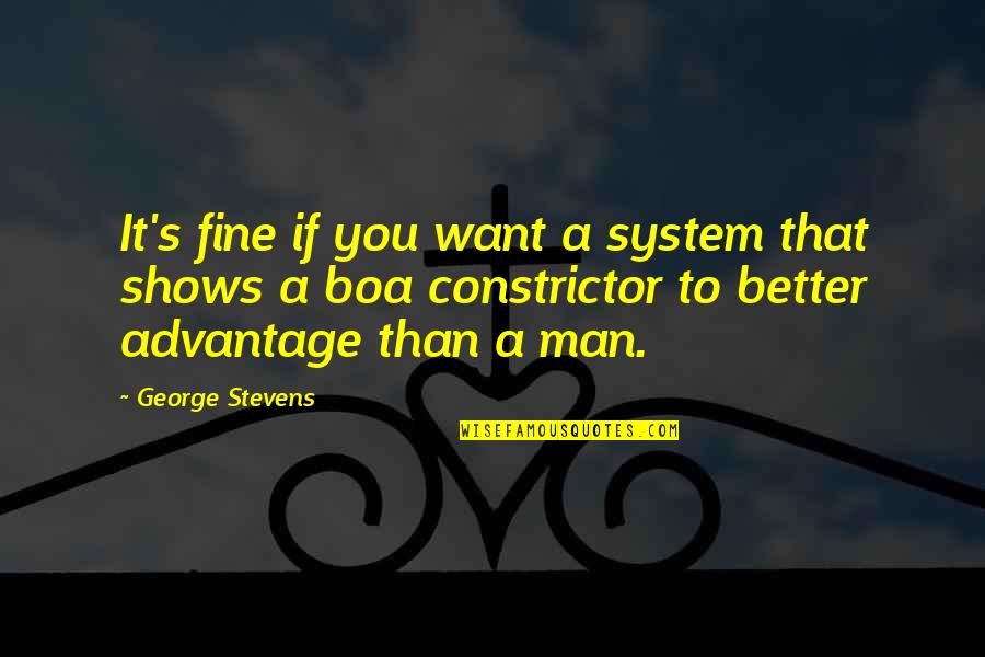 Advantage Quotes By George Stevens: It's fine if you want a system that