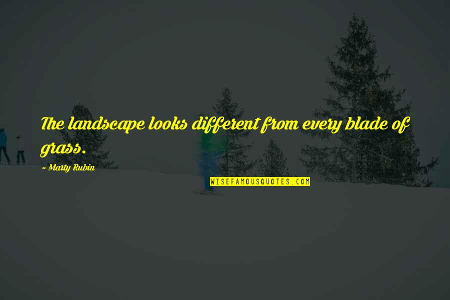 Advantageous Person Quotes By Marty Rubin: The landscape looks different from every blade of Advantageous Person Quotes By Marty Rubin: The landscape looks different from every blade of