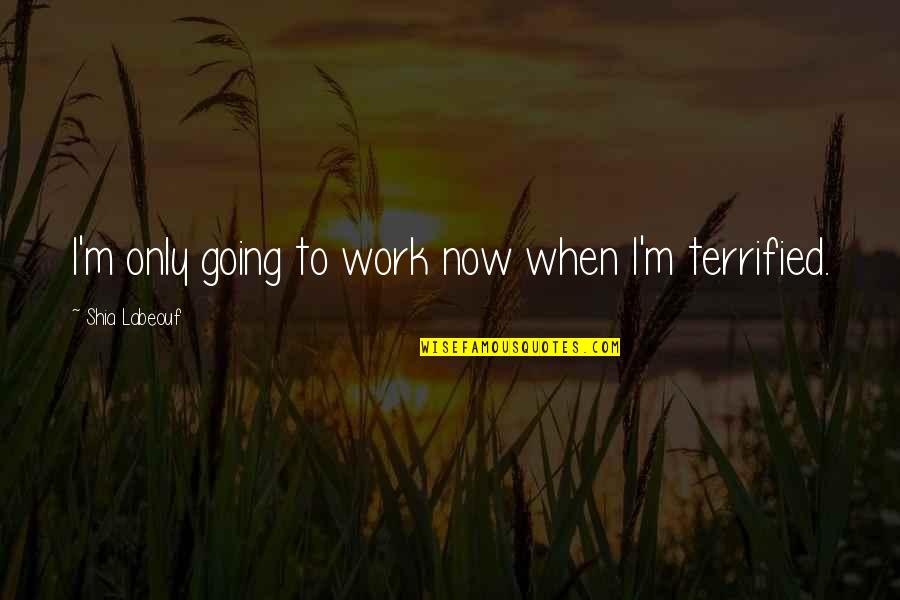 Adventure Alone Quotes By Shia Labeouf: I'm only going to work now when I'm Adventure Alone Quotes By Shia Labeouf: I'm only going to work now when I'm