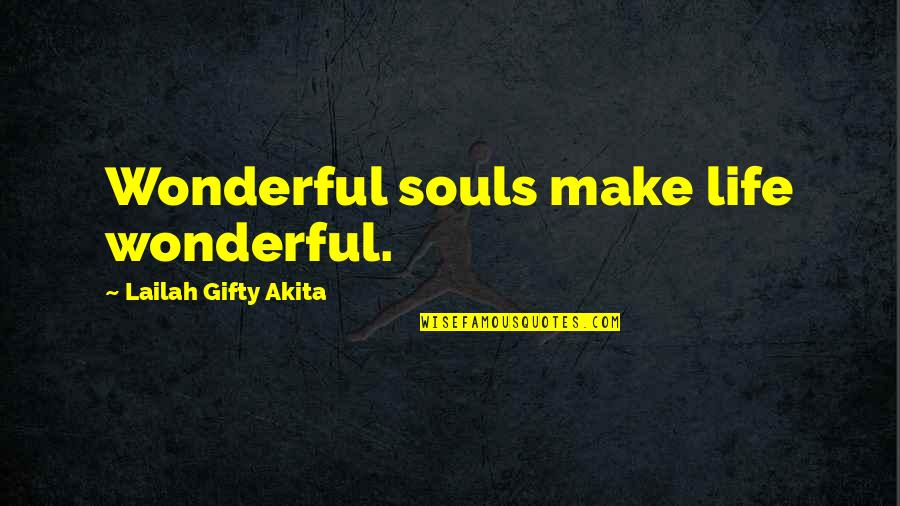 Adventure And Happiness Quotes By Lailah Gifty Akita: Wonderful souls make life wonderful.