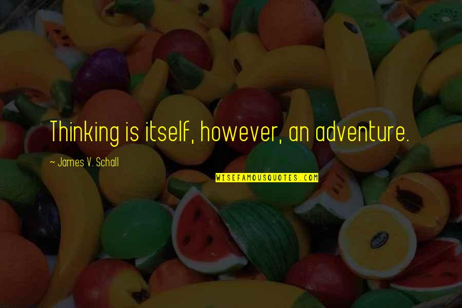 Adventure And Learning Quotes By James V. Schall: Thinking is itself, however, an adventure.