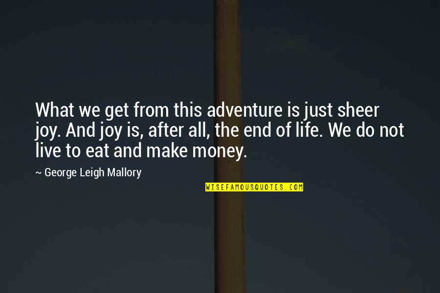 Adventure And Life Quotes By George Leigh Mallory: What we get from this adventure is just