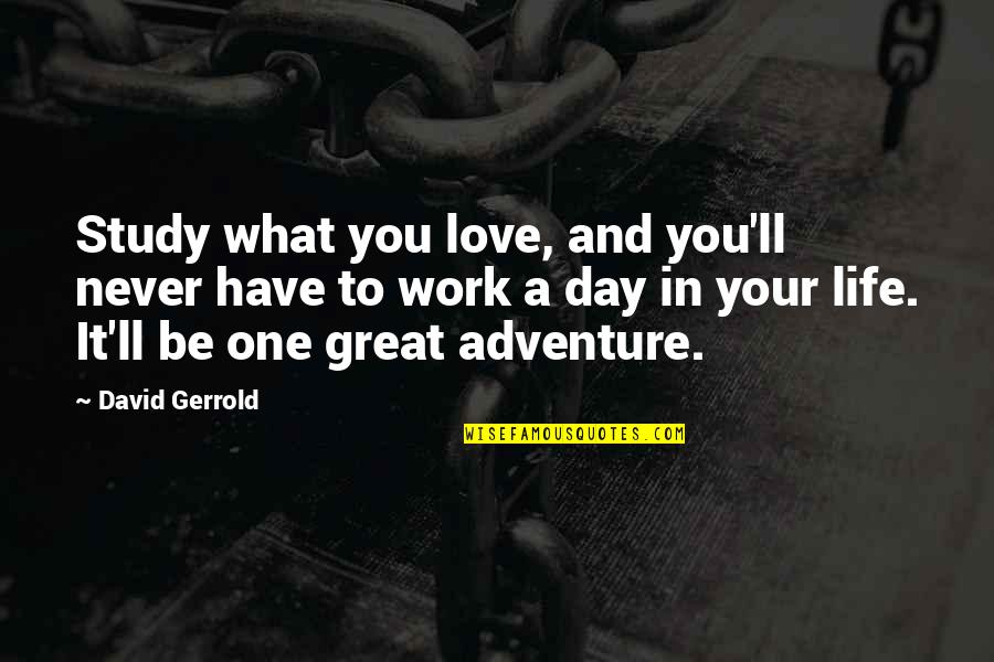 Adventure And Love Quotes By David Gerrold: Study what you love, and you'll never have
