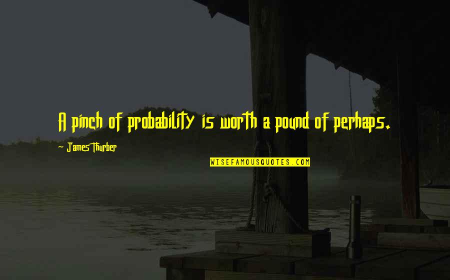 Adventure And Traveling Quotes By James Thurber: A pinch of probability is worth a pound Adventure And Traveling Quotes By James Thurber: A pinch of probability is worth a pound