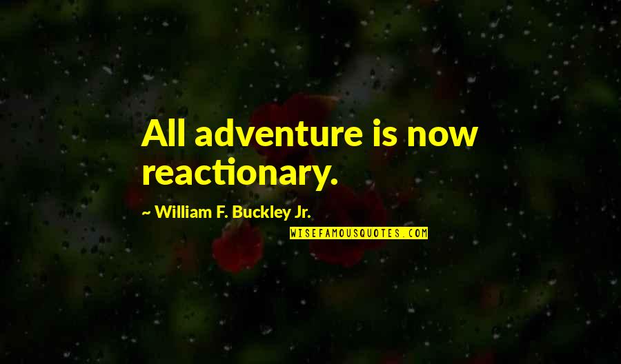 Adventure From Up Quotes By William F. Buckley Jr.: All adventure is now reactionary.