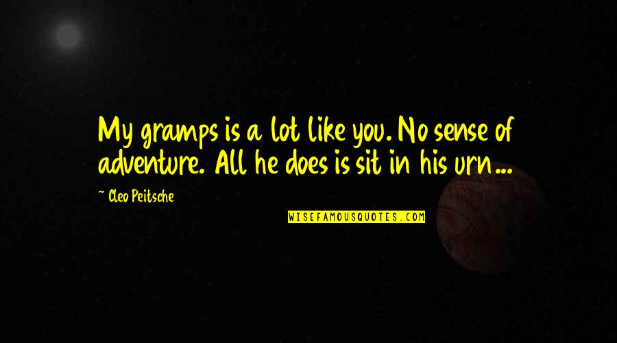 Adventure Funny Quotes By Cleo Peitsche: My gramps is a lot like you. No