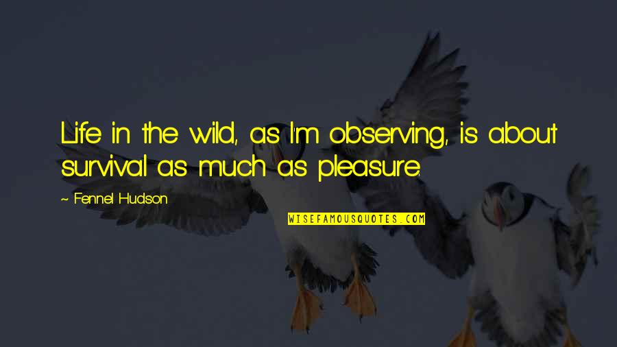 Adventure Into The Wild Quotes By Fennel Hudson: Life in the wild, as I'm observing, is