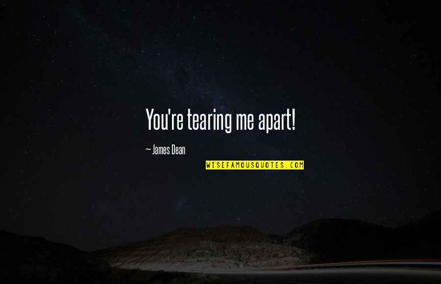 Adventure Seekers Quotes By James Dean: You're tearing me apart!