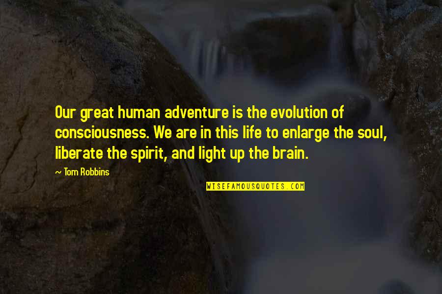 Adventure Soul Quotes By Tom Robbins: Our great human adventure is the evolution of Adventure Soul Quotes By Tom Robbins: Our great human adventure is the evolution of