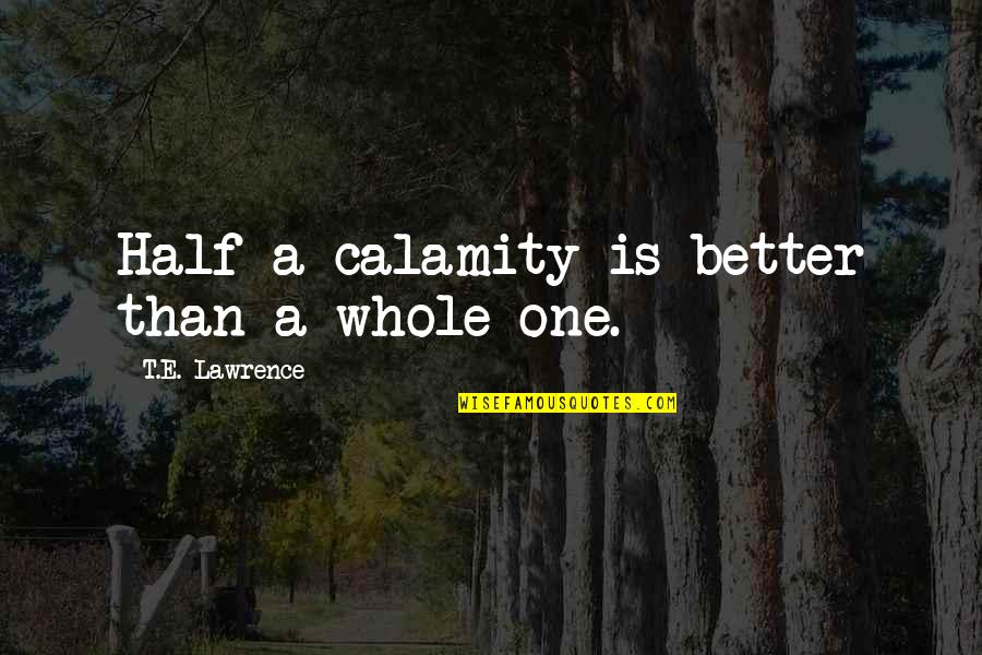 Adventure Touring Quotes By T.E. Lawrence: Half a calamity is better than a whole