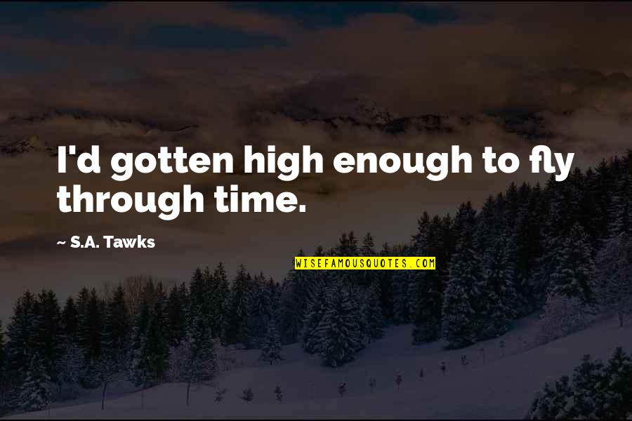 Adventure Travel Quotes By S.A. Tawks: I'd gotten high enough to fly through time. Adventure Travel Quotes By S.A. Tawks: I'd gotten high enough to fly through time.