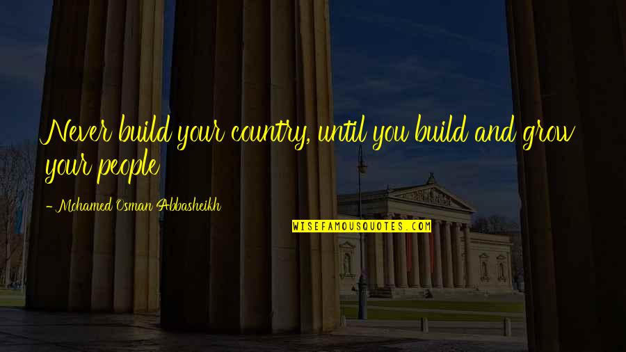 Adventureland Quotes By Mohamed Osman Abbasheikh: Never build your country, until you build and