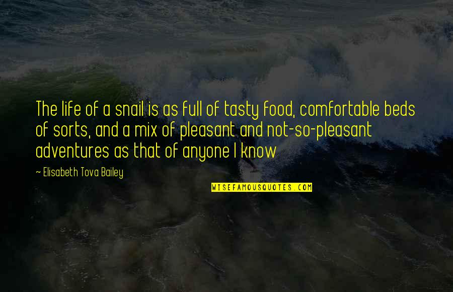 Adventures And Life Quotes By Elisabeth Tova Bailey: The life of a snail is as full Adventures And Life Quotes By Elisabeth Tova Bailey: The life of a snail is as full