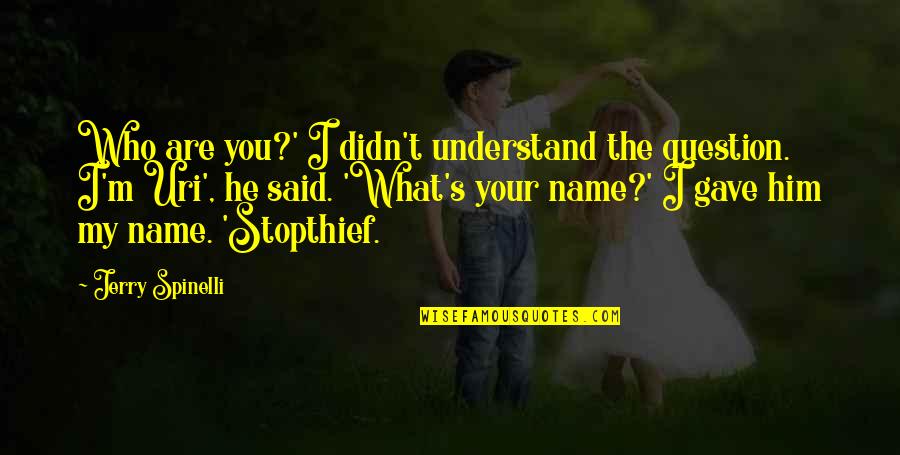 Adventures In Babysitting Quotes By Jerry Spinelli: Who are you?' I didn't understand the question.
