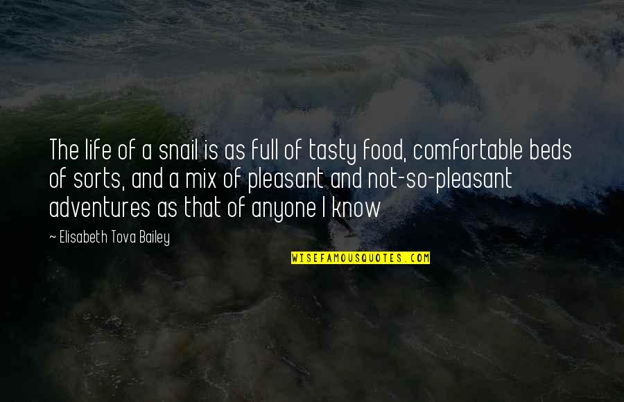 Adventures In Life Quotes By Elisabeth Tova Bailey: The life of a snail is as full Adventures In Life Quotes By Elisabeth Tova Bailey: The life of a snail is as full