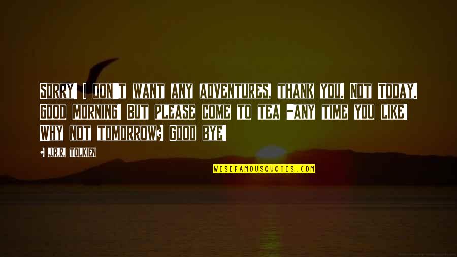 Adventures Quotes By J.R.R. Tolkien: Sorry! I don't want any adventures, thank you.