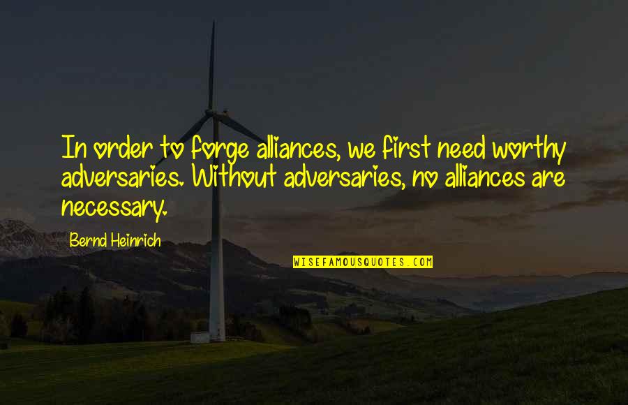 Adversaries Quotes By Bernd Heinrich: In order to forge alliances, we first need
