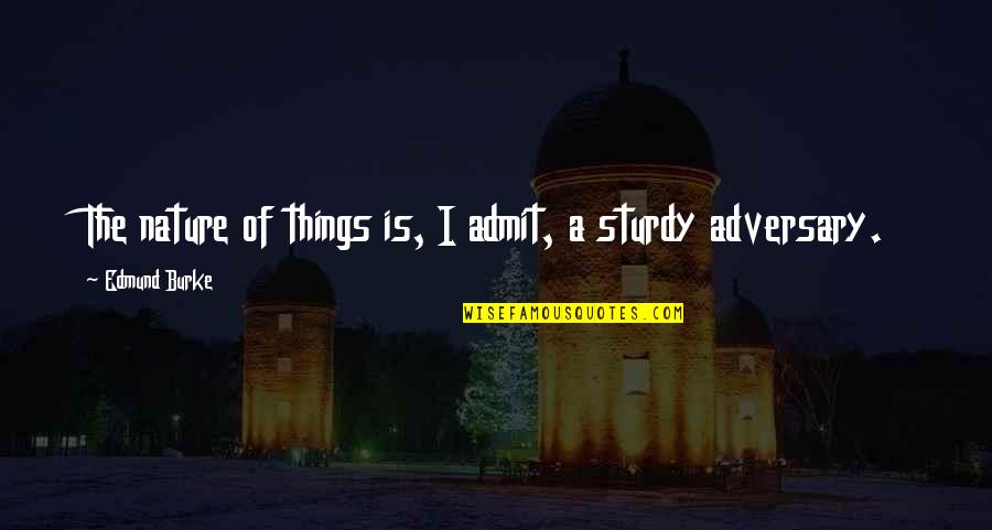 Adversary Quotes By Edmund Burke: The nature of things is, I admit, a