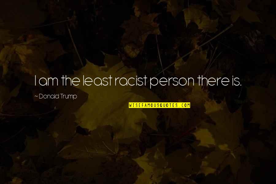 Advertigo Quotes By Donald Trump: I am the least racist person there is.