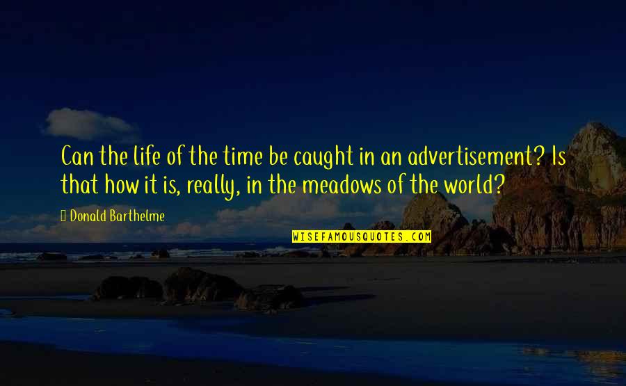 Advertising And Life Quotes By Donald Barthelme: Can the life of the time be caught