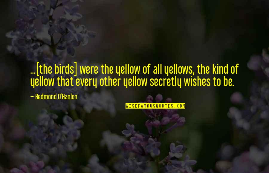 Advice For High School Graduates Quotes By Redmond O'Hanlon: ...[the birds] were the yellow of all yellows,