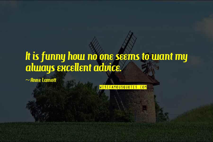 Advice Quotes By Anne Lamott: It is funny how no one seems to