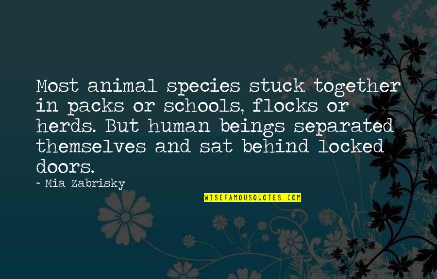 Advising Students Quotes By Mia Zabrisky: Most animal species stuck together in packs or