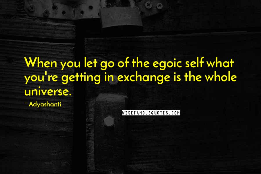 Adyashanti quotes: When you let go of the egoic self what you're getting in exchange is the whole universe.