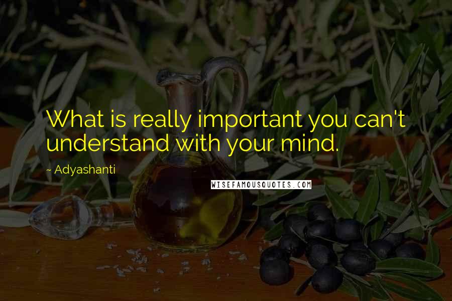 Adyashanti quotes: What is really important you can't understand with your mind.