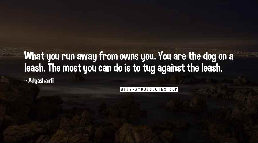 Adyashanti quotes: What you run away from owns you. You are the dog on a leash. The most you can do is to tug against the leash.